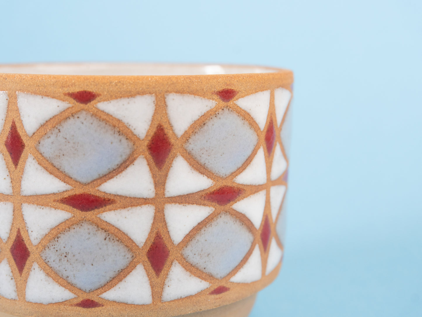 tulip americano in lilac